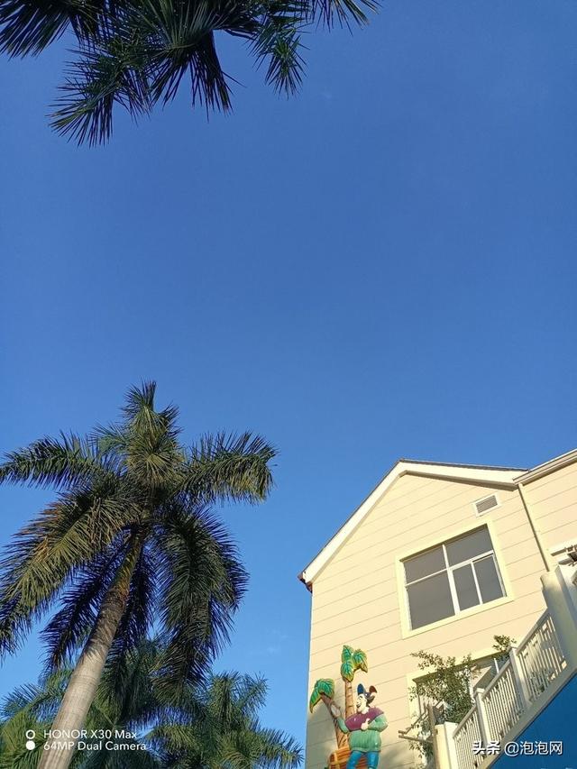 榮耀x30max手機(jī)怎么樣（榮耀x30 max屏幕詳細(xì)參數(shù)）(21)