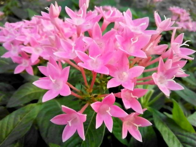 華為10z手機(jī)怎么樣（華為nova  10z值得買嗎測評）(12)