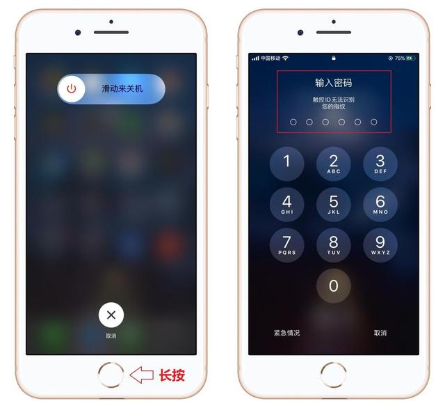 蘋果如何清除緩存和垃圾（iphone手機清理內(nèi)存的簡單方法）(3)