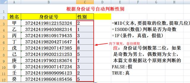 excel怎么自動(dòng)分男女（excel輸入身份證自動(dòng)出性別的方法）(3)