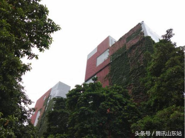 vivoy71參數(shù)配置（vivoy71值得入手嗎）(12)