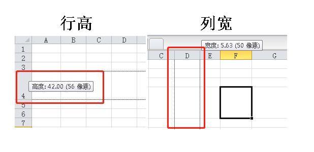 表格怎么調(diào)節(jié)行寬行高（excel表中快速調(diào)整行高列寬的方法）(1)