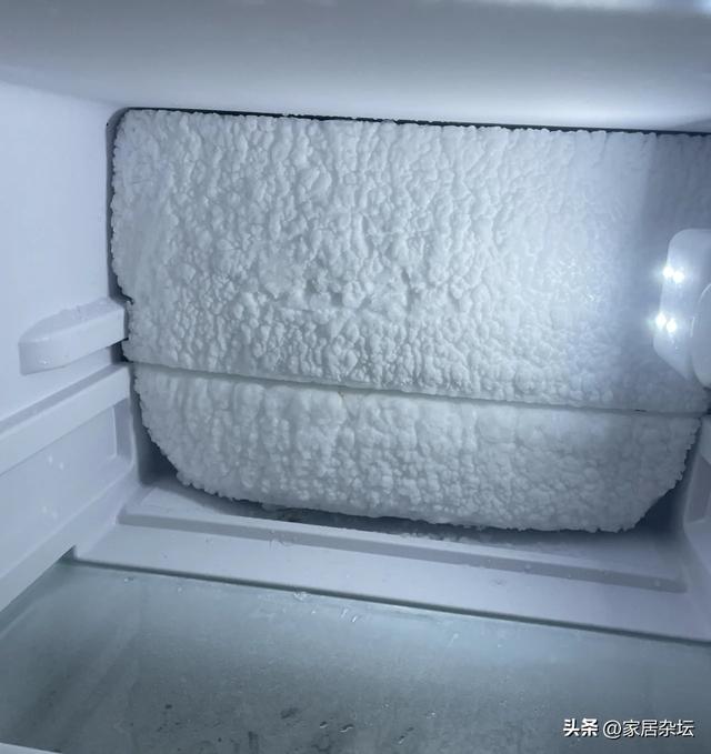 電冰箱什么牌子的質量最好（選冰箱的正確方法）(12)