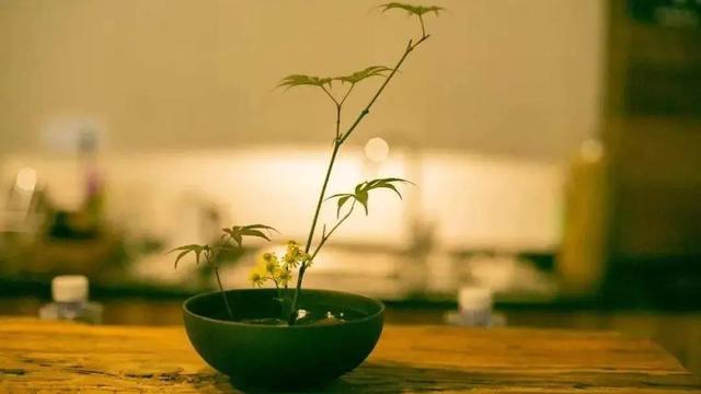 秋冬養(yǎng)生小常識(shí)有哪些（冬天養(yǎng)生10個(gè)小常識(shí)越早知道越好）(1)