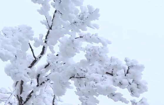 發(fā)個(gè)雪景的說說朋友圈（下雪了發(fā)朋友圈的句子簡(jiǎn)單溫暖）(1)