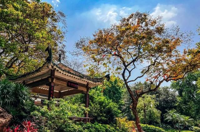 廣州市的旅游景點有哪些（廣州旅游十大必去景點你去過嗎）(25)