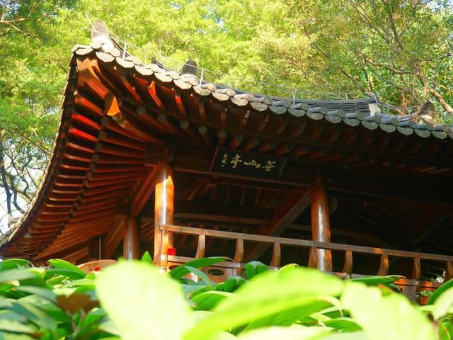 廣州市的旅游景點有哪些（廣州旅游十大必去景點你去過嗎）(26)