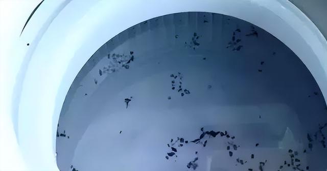 洗衣機(jī)清洗怎么清洗（教你一招不花錢(qián)清洗洗衣機(jī)的方法）(4)
