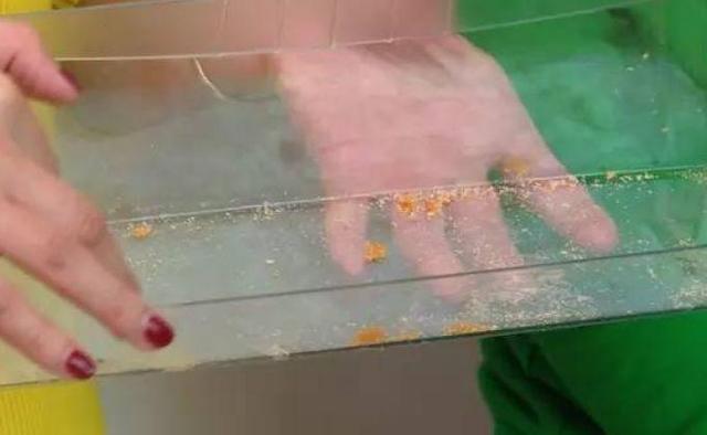 冰箱清洗方法詳細(xì)步驟（家用小妙招秒學(xué)怎么清洗冰箱）(2)