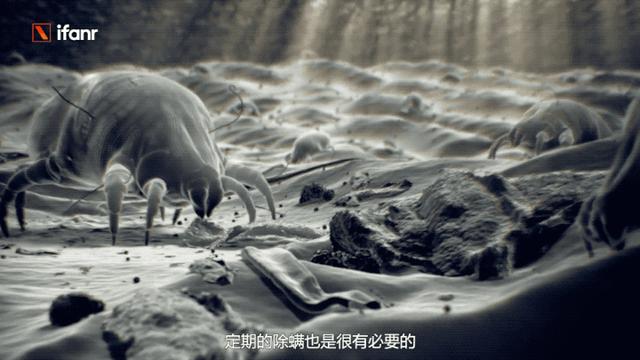 買什么牌子的吸塵器好（五大爆款吸塵器評(píng)測(cè)）(6)