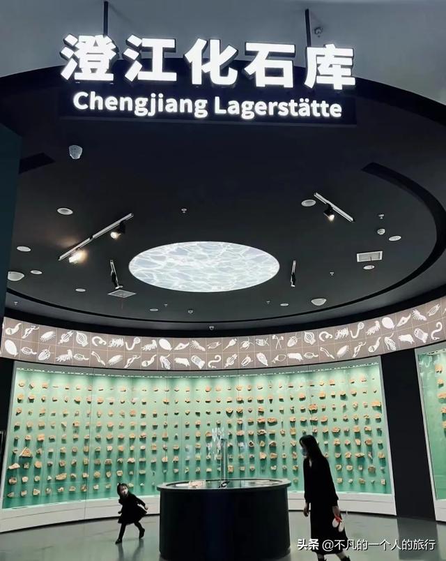 中國有哪些名勝古跡（中國56項(xiàng)世界遺產(chǎn)你都去過哪些）(101)