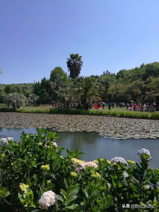 昆明有什么好玩的地方（到云南昆明旅游必去的21個(gè)景點(diǎn)）(65)