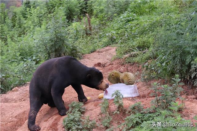 昆明有什么好玩的地方（到云南昆明旅游必去的21個(gè)景點(diǎn)）(68)