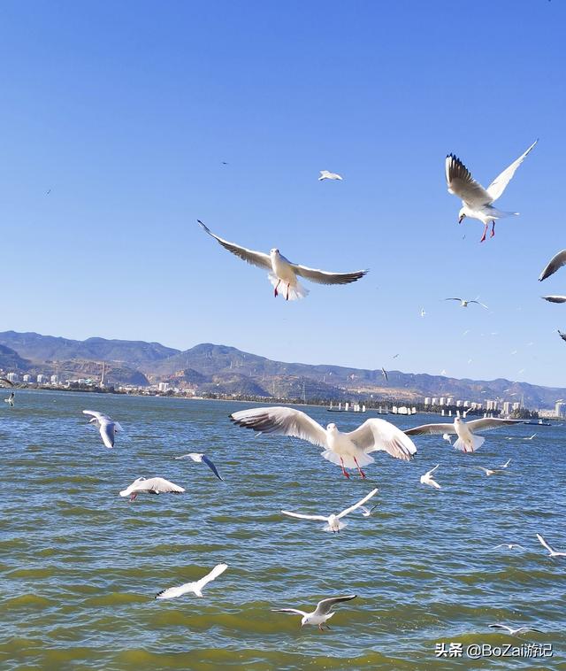 昆明有什么好玩的地方（到云南昆明旅游必去的21個(gè)景點(diǎn)）(83)