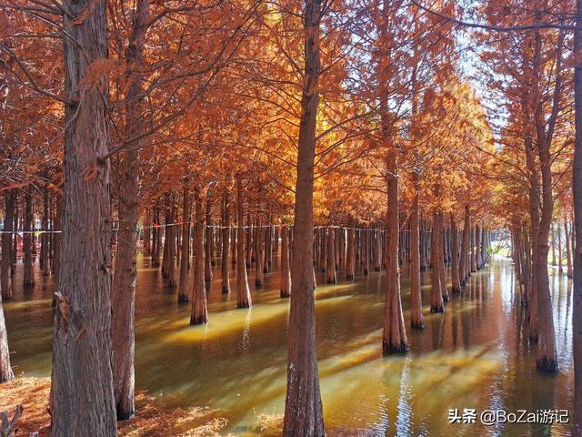 昆明有什么好玩的地方（到云南昆明旅游必去的21個(gè)景點(diǎn)）(92)