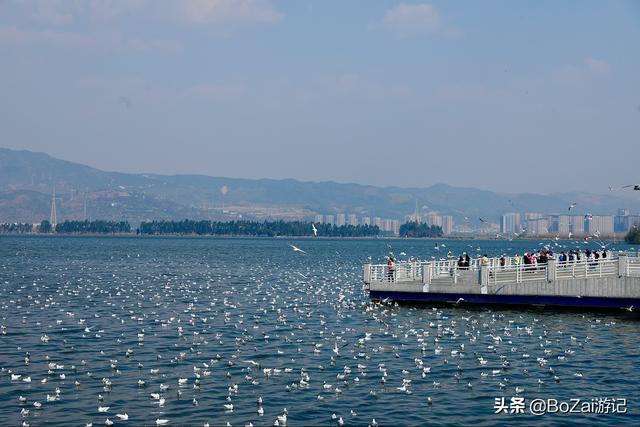 昆明有什么好玩的地方（到云南昆明旅游必去的21個(gè)景點(diǎn)）(94)