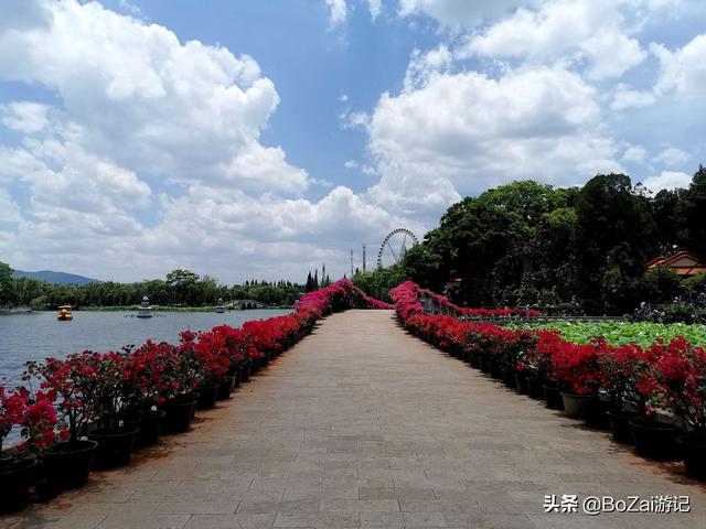 昆明有什么好玩的地方（到云南昆明旅游必去的21個(gè)景點(diǎn)）(101)